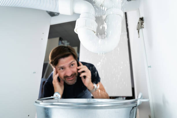 Best Emergency Plumbing Repair  in Braham, MN